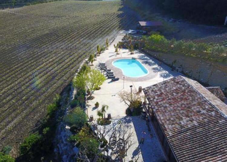 Agriturismo Tenute Pispisa Segesta Calatafimi Eksteriør billede
