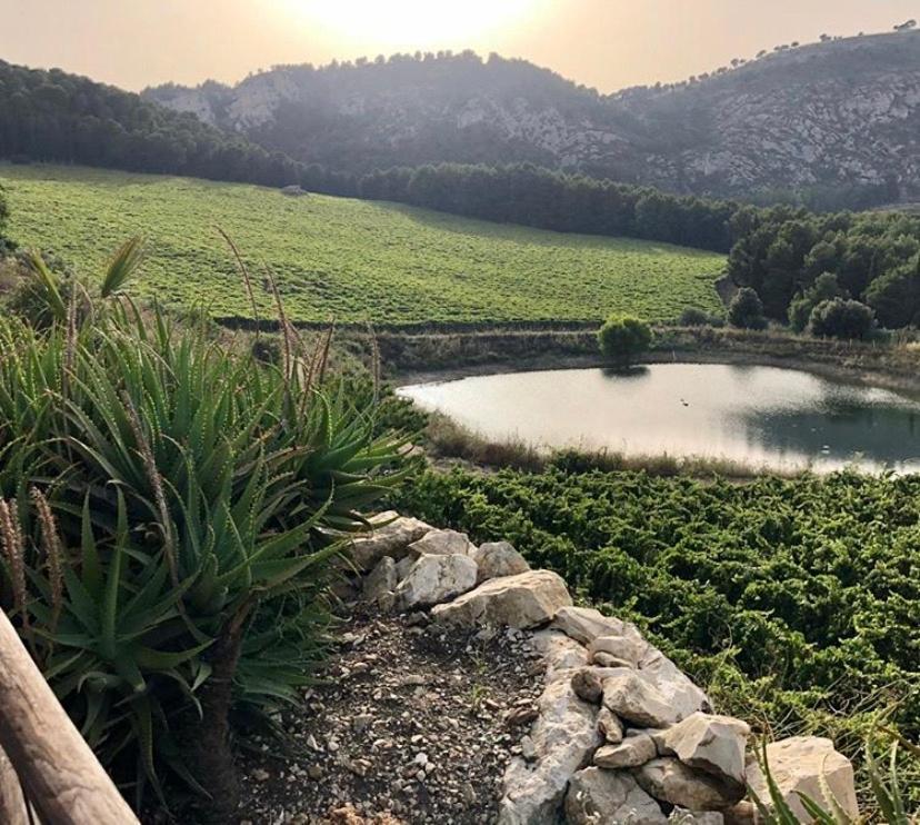 Agriturismo Tenute Pispisa Segesta Calatafimi Eksteriør billede
