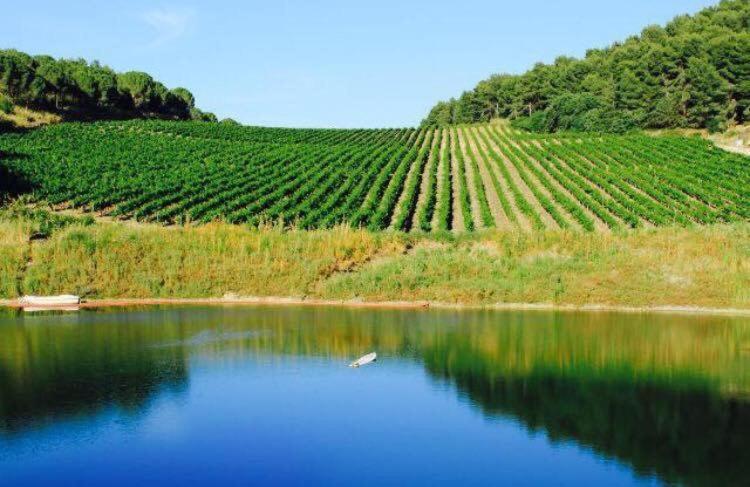 Agriturismo Tenute Pispisa Segesta Calatafimi Eksteriør billede