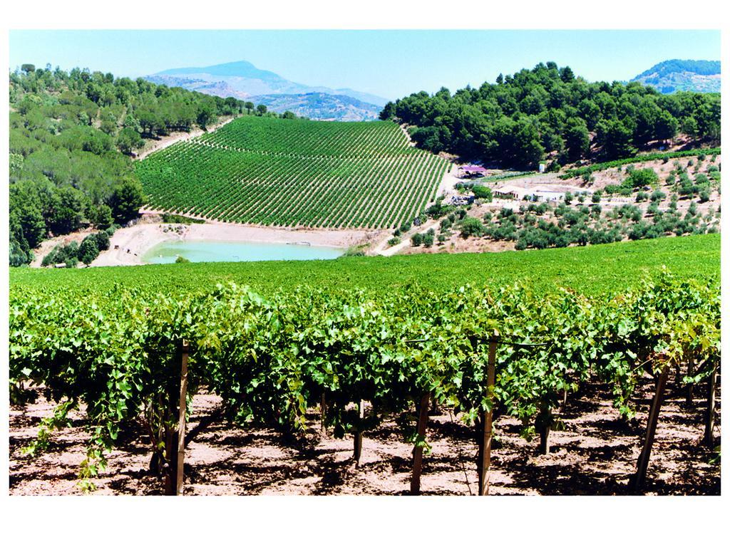 Agriturismo Tenute Pispisa Segesta Calatafimi Eksteriør billede