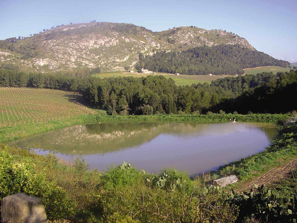 Agriturismo Tenute Pispisa Segesta Calatafimi Eksteriør billede