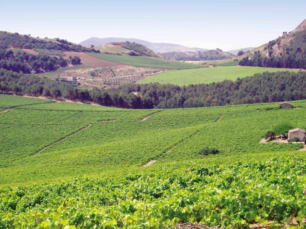 Agriturismo Tenute Pispisa Segesta Calatafimi Eksteriør billede