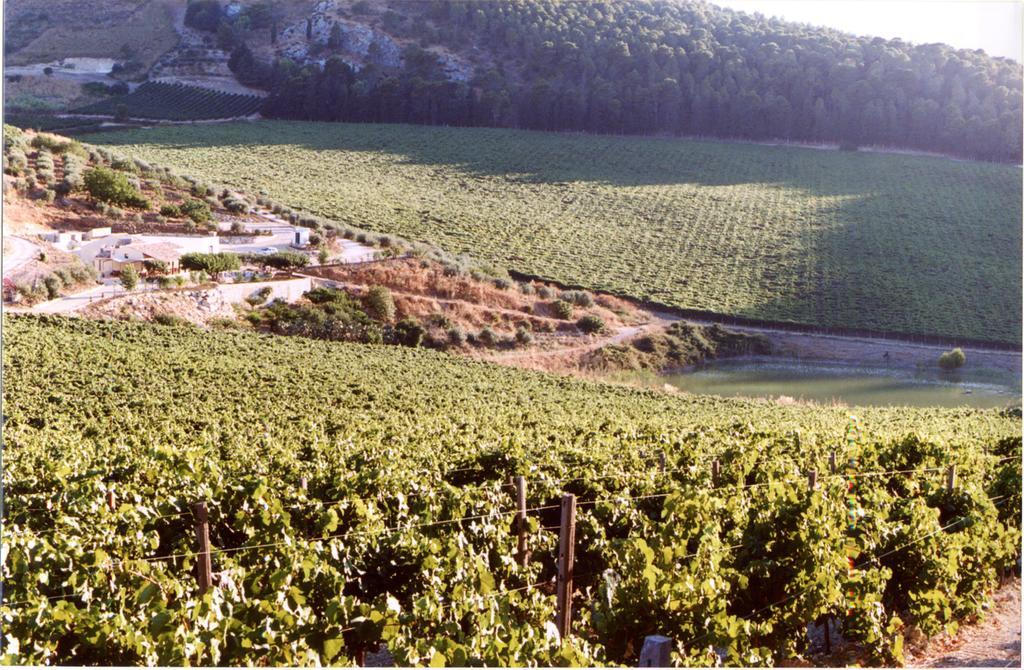Agriturismo Tenute Pispisa Segesta Calatafimi Eksteriør billede