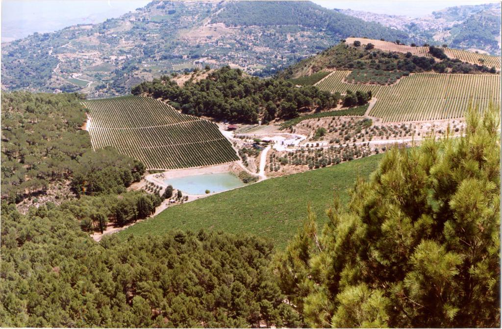 Agriturismo Tenute Pispisa Segesta Calatafimi Eksteriør billede