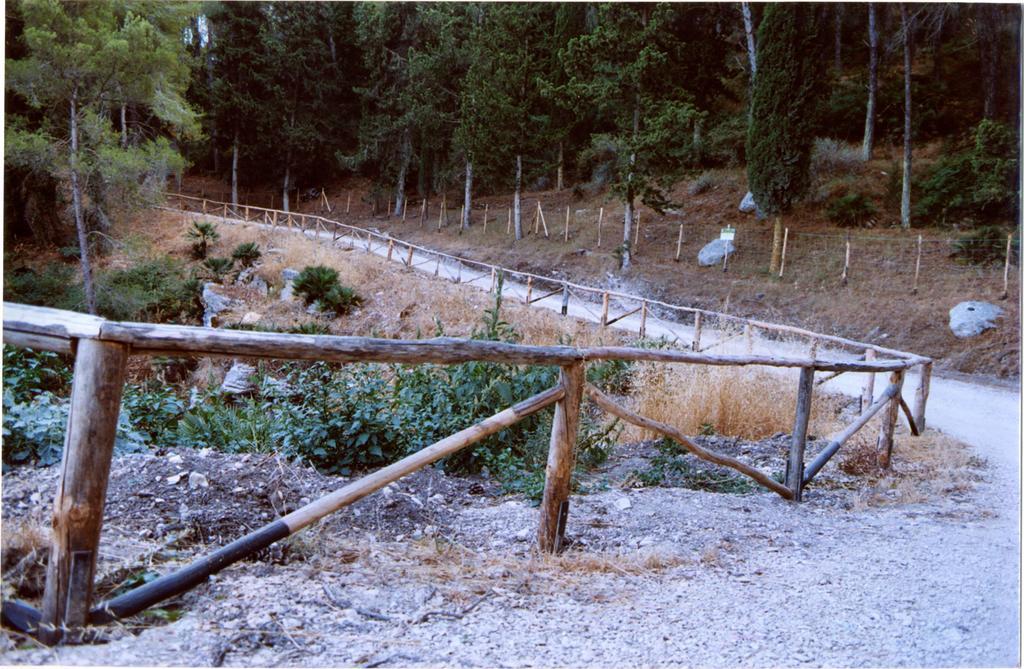 Agriturismo Tenute Pispisa Segesta Calatafimi Eksteriør billede