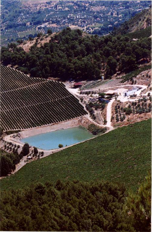 Agriturismo Tenute Pispisa Segesta Calatafimi Eksteriør billede