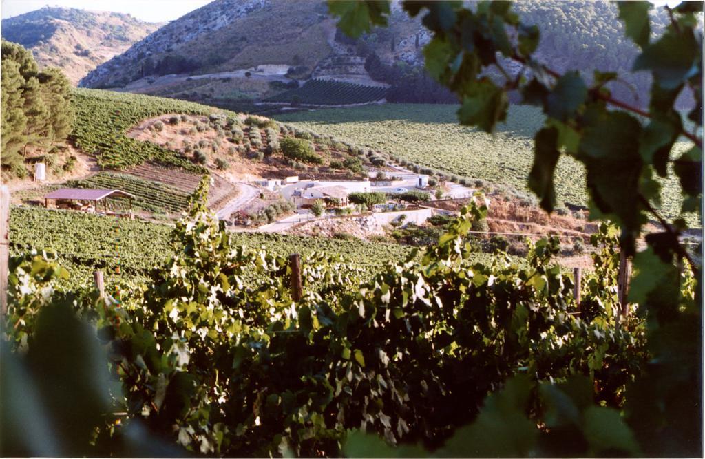 Agriturismo Tenute Pispisa Segesta Calatafimi Eksteriør billede