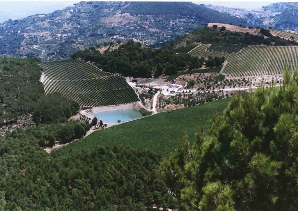 Agriturismo Tenute Pispisa Segesta Calatafimi Eksteriør billede