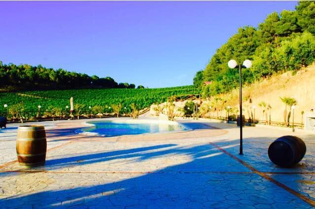 Agriturismo Tenute Pispisa Segesta Calatafimi Eksteriør billede