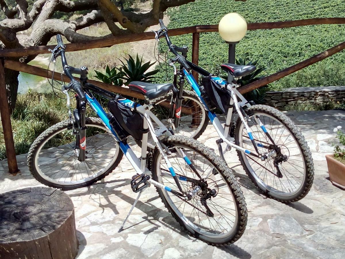 Agriturismo Tenute Pispisa Segesta Calatafimi Eksteriør billede
